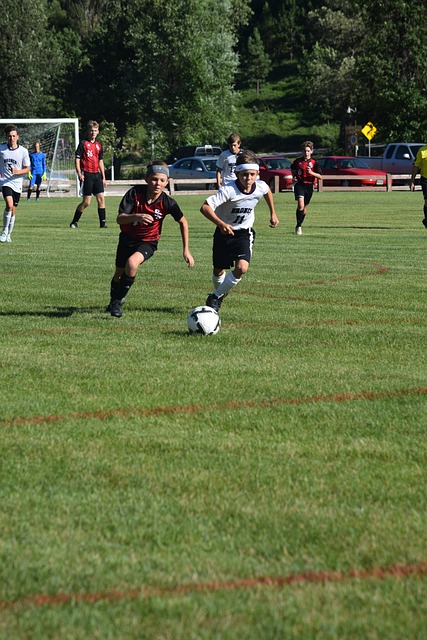 奏的推进 奏的推进