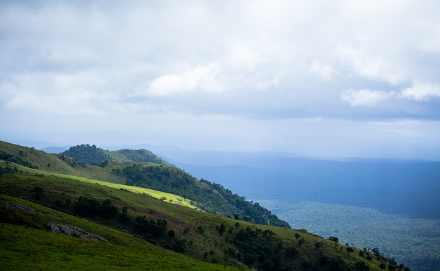坚韧不拔的 坚韧不拔的