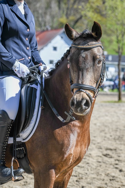 保持了进攻 保持了进攻