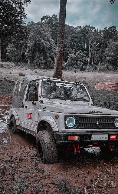 教練的專業 教練的專業