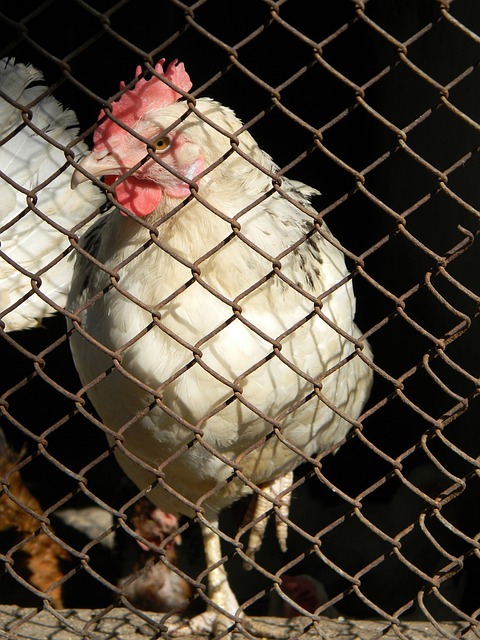 这场比赛一 这场比赛一