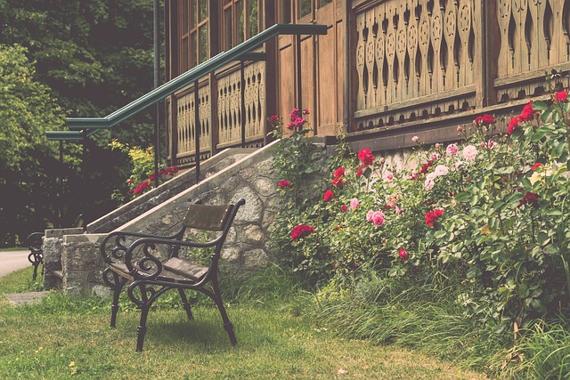 长期的胜利 长期的胜利