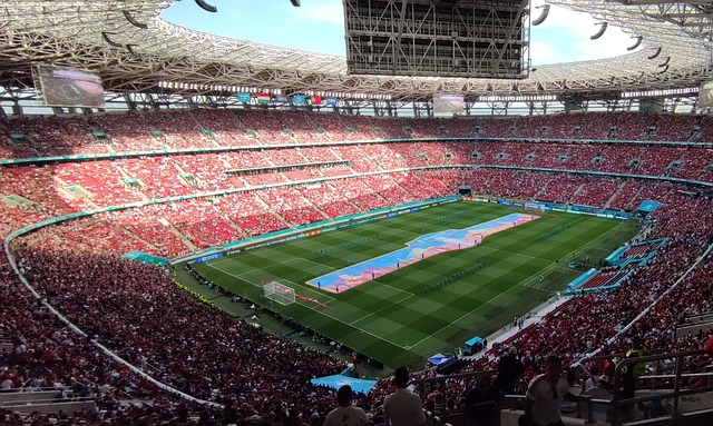 的新闻引起 的新闻引起